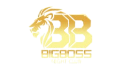 Bigboss logo